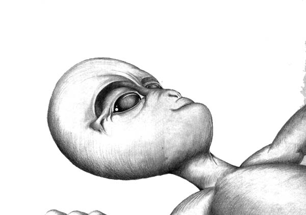 Alien drawing by &copy;Steven Ingersole